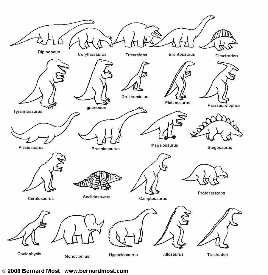Types Of Dinosaurs Coloring Pages